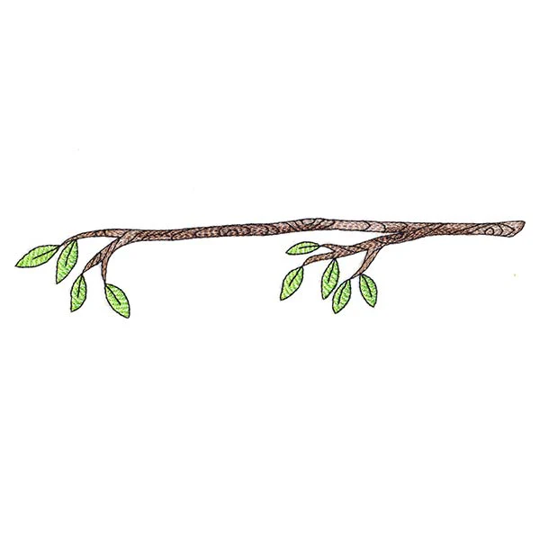 Very Tweet Family - Branch - Image 3