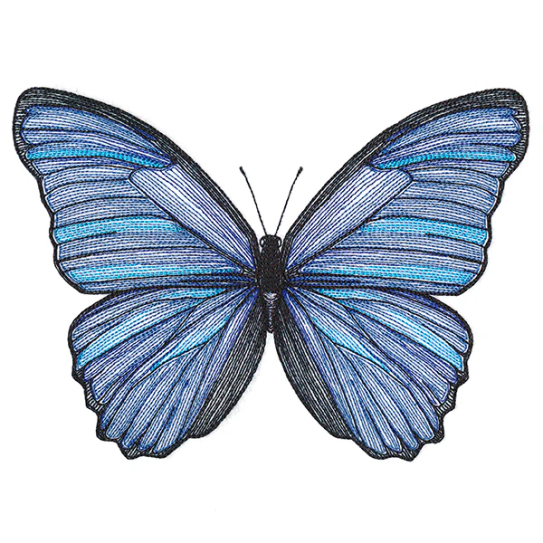 Vibrant Blue Morpho Etching - Image 2