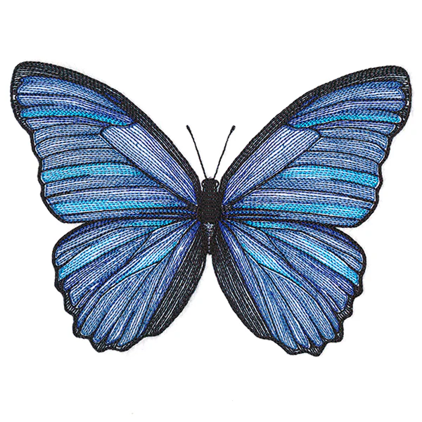 Vibrant Blue Morpho Etching - Image 3