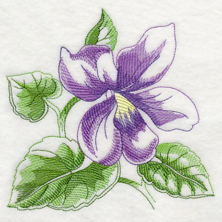Violet Beauty - Image 3