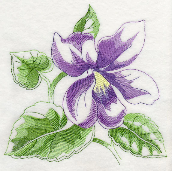Violet Beauty - Image 6