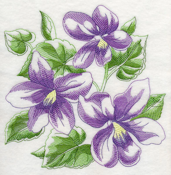Violet Sketch - Image 6