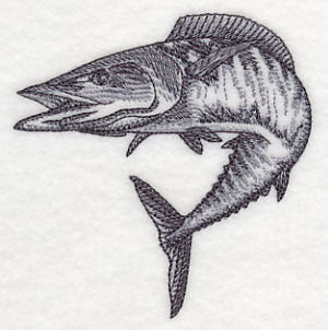 Wahoo Sketch - Image 3
