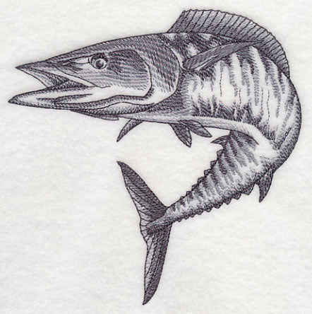 Wahoo Sketch - Image 4