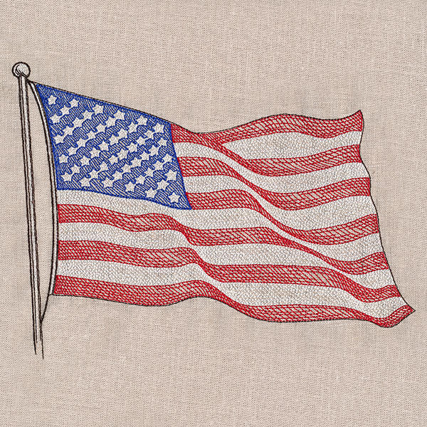 Waving American Flag - Image 4