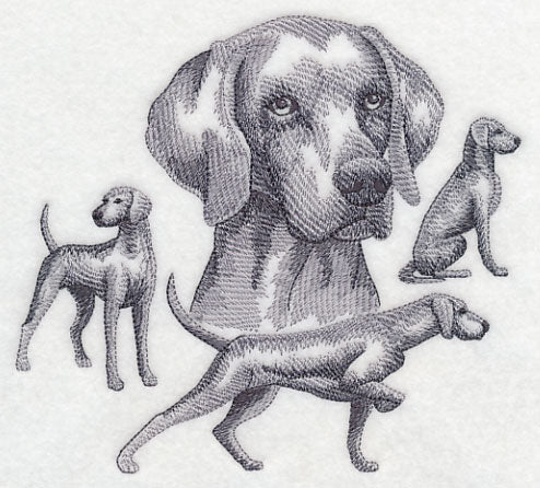 Weimaraner Sketch - Image 2