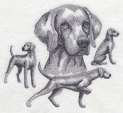 Weimaraner Sketch - Image 3