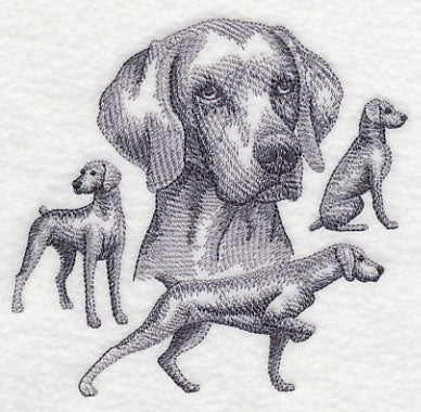 Weimaraner Sketch (Docked Tail) - Image 4