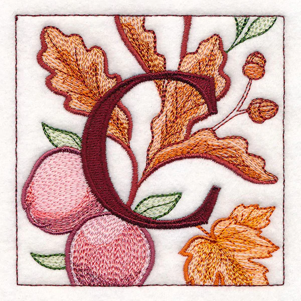 Welcome Fall Square - C - Image 13