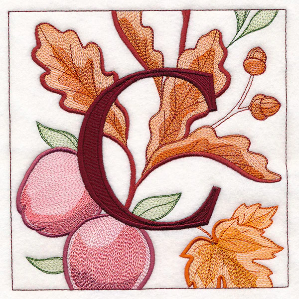 Welcome Fall Square - C - Image 4