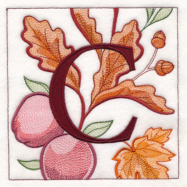 Welcome Fall Square - C - Image 7