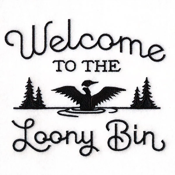 Welcome to the Loony Bin - Image 5