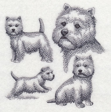 West Highland Terrier Sketch - Image 4