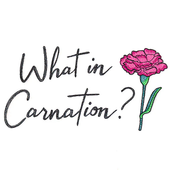 What in Carnation? - Image 4