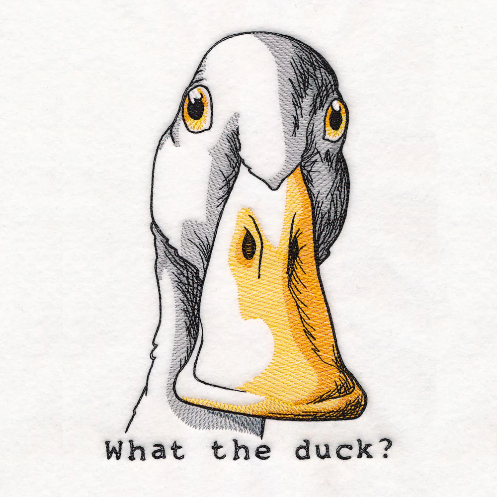 What the Duck - Image 3