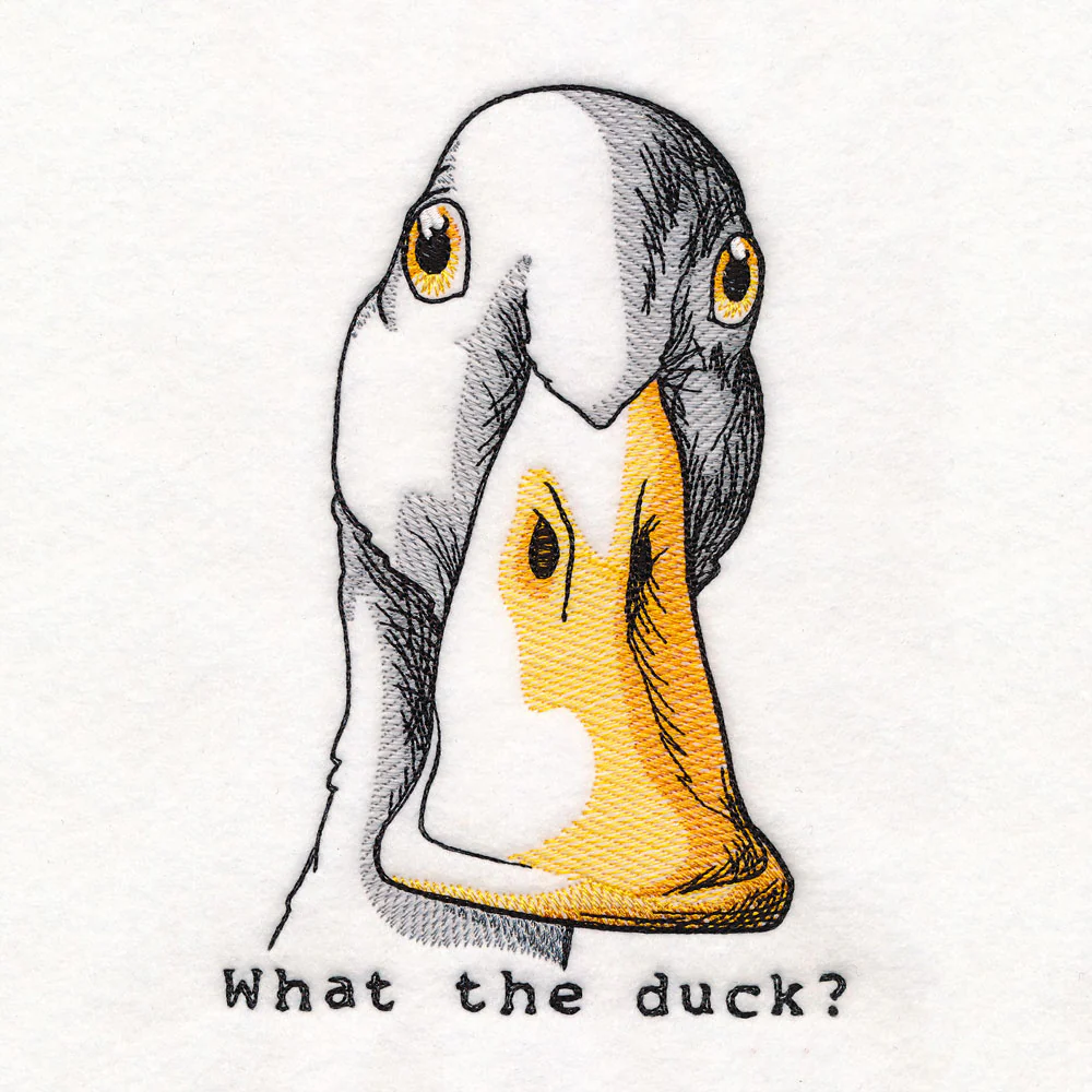 What the Duck - Image 4