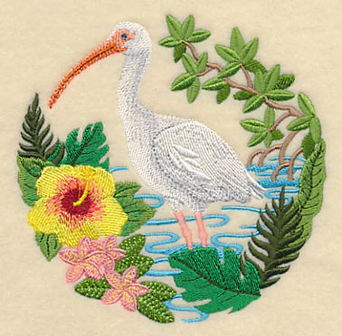 White Ibis Scene - Image 5