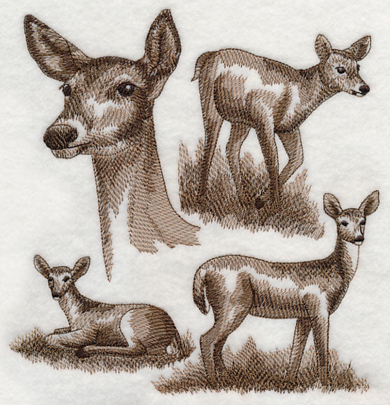 White-tailed Deer Sketch - Image 5