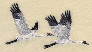 Whooping Cranes in Flight - Image 2