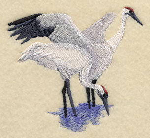 Whooping Cranes in the Marsh - Image 2