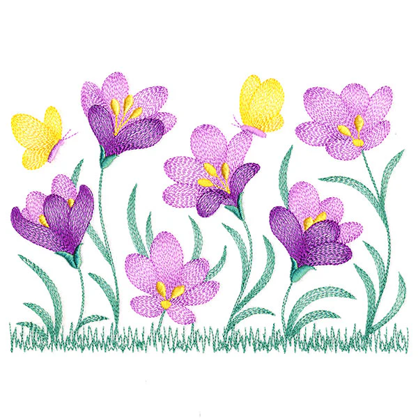 Wild and Blooming Crocus Border - Image 3