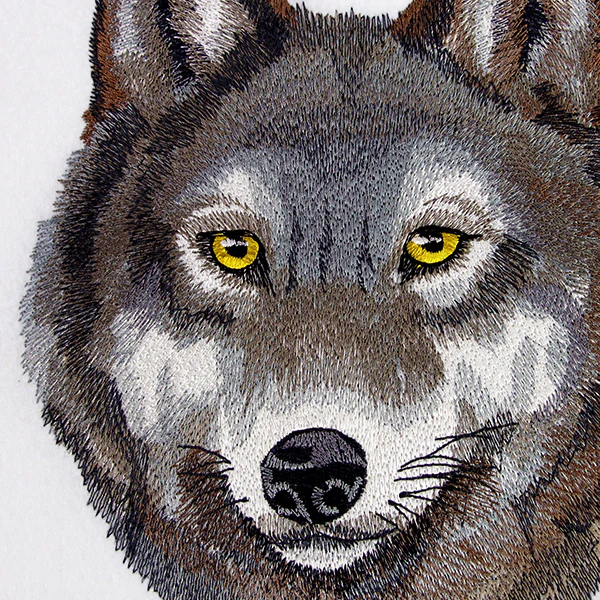 Wild Beauty Wolf - Image 8