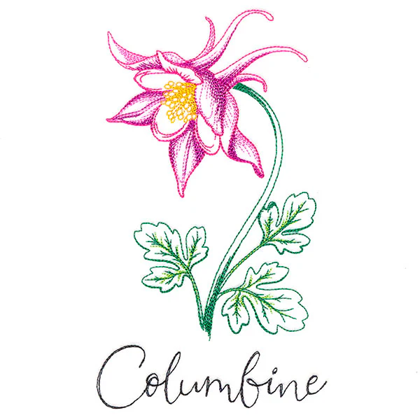 Wild Blooms - Columbine - Image 3