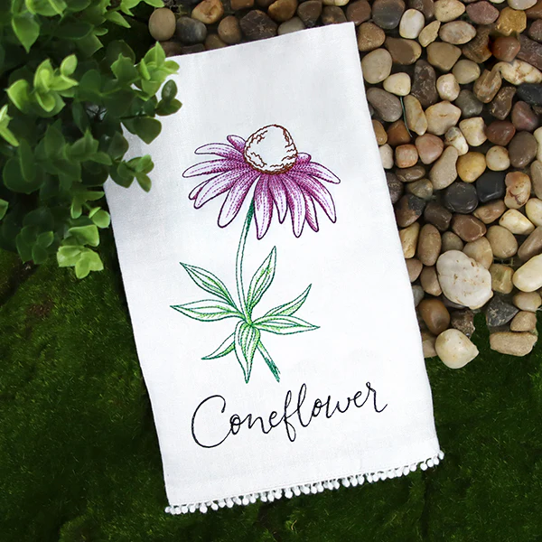 Wild Blooms - Coneflower - Image 4