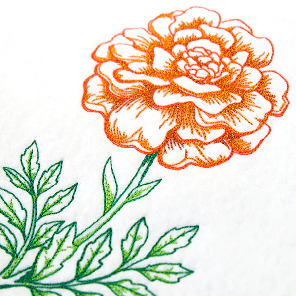 Wild Blooms - Marigold - Image 6