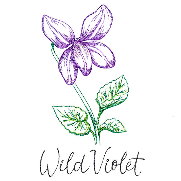 Wild Blooms - Wild Violet - Image 3