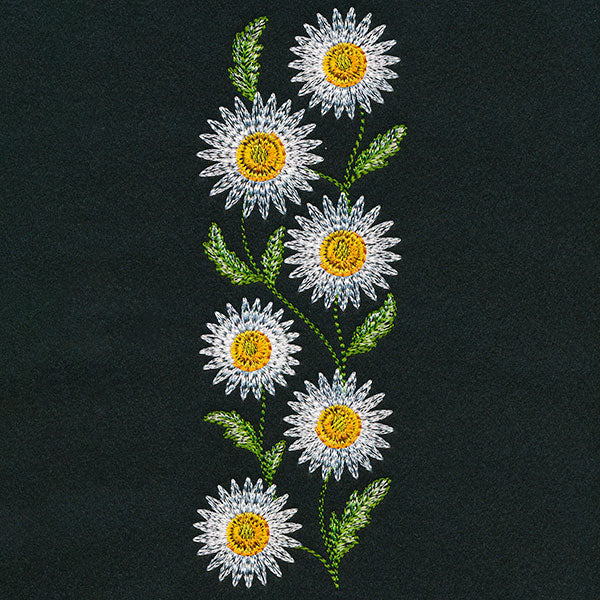 Wild Charms Tall Daisy Border - Image 5