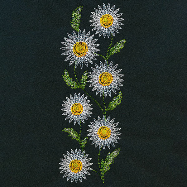 Wild Charms Tall Daisy Border - Image 9