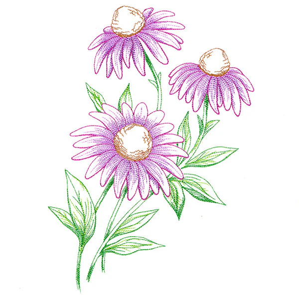 Wild Coneflower Bouquet - Image 4