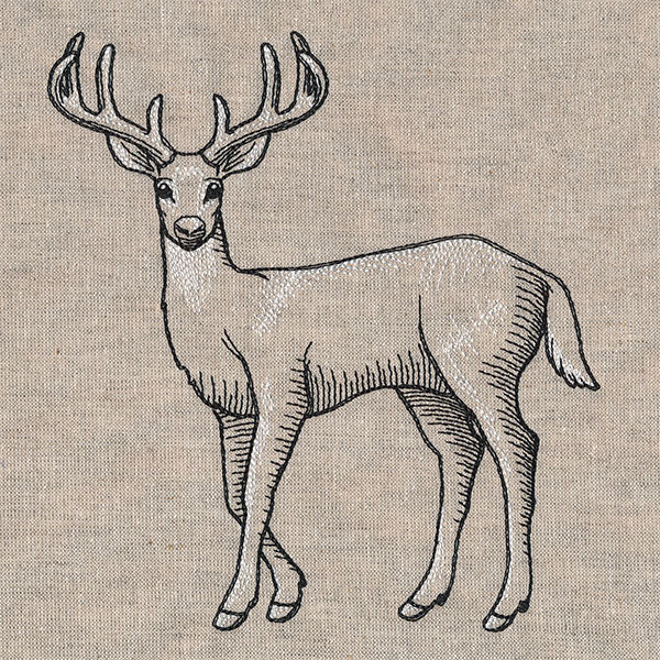 Wild Deer Etching - Image 3