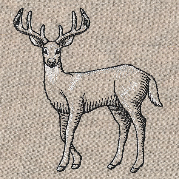 Wild Deer Etching - Image 5