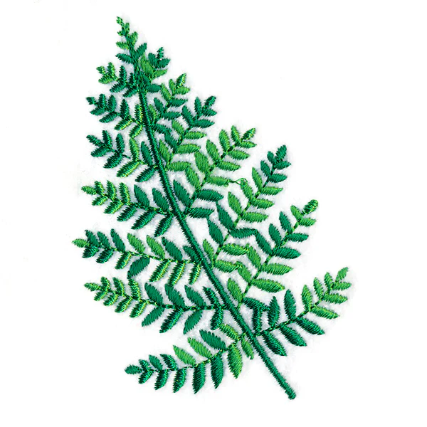 Wild Fern 1 - Image 2
