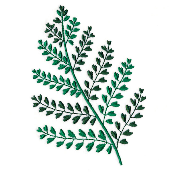 Wild Fern 3 - Image 3