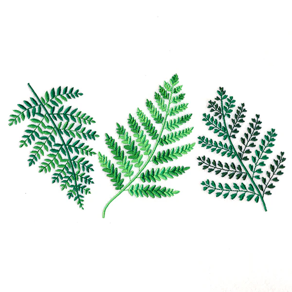 Wild Fern Trio - Image 3