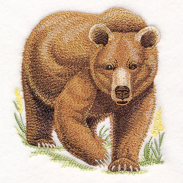 Wild Grizzly Bear - Image 7