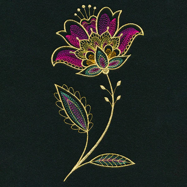 Wild Jacobean Bloom