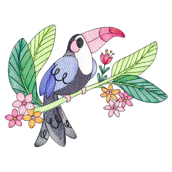 Wild Oasis Toucan