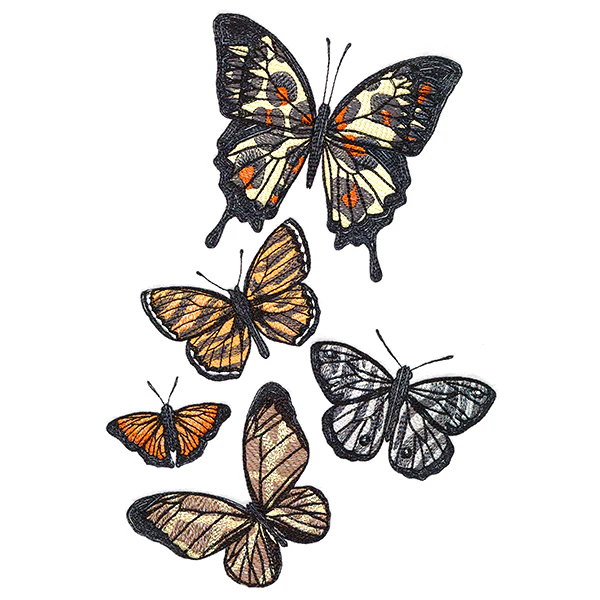 Wild Style Butterflies - Image 5