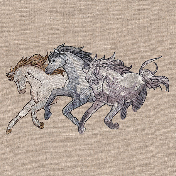 Wild West Stallions - Image 3