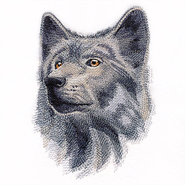 Wild Wolf Portrait - Image 5