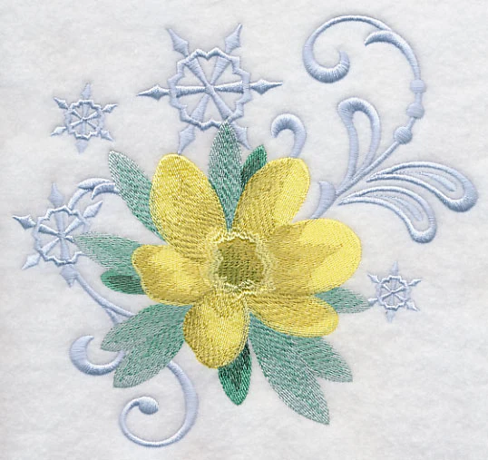 Winter Aconite and Snowflake Echo - Image 5