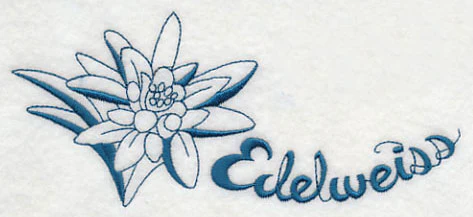 Winter Garden Edelweiss - Image 3