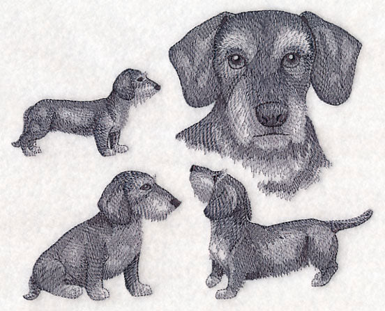 Wire-Haired Wiener Dog Sketch - Image 2