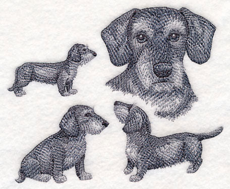 Wire-Haired Wiener Dog Sketch - Image 3
