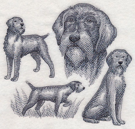 Wirehaired Pointing Griffon Sketch (Docked Tail) - Image 2