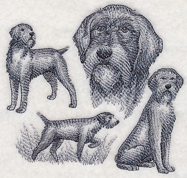 Wirehaired Pointing Griffon Sketch (Docked Tail) - Image 3